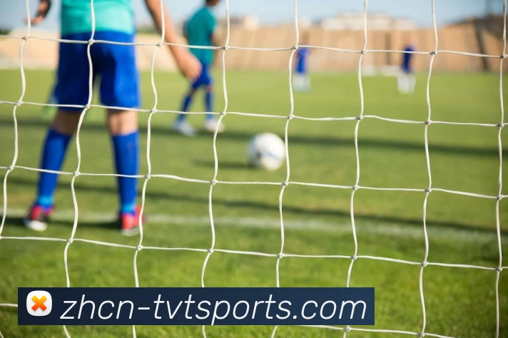 球赛投注平台生态图