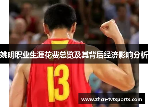 姚明职业生涯花费总览及其背后经济影响分析